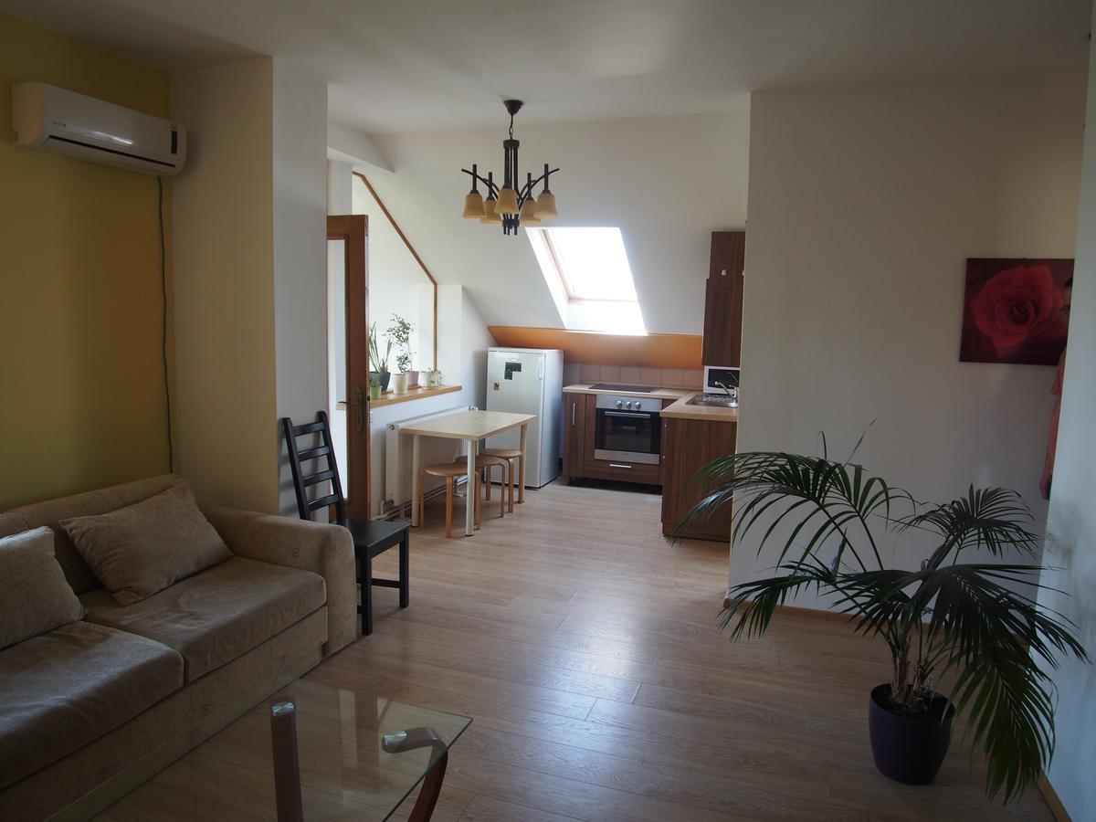 Argeselu Garden Villa-entire floor apartament, exclusive garden access Maracineni Habitación foto