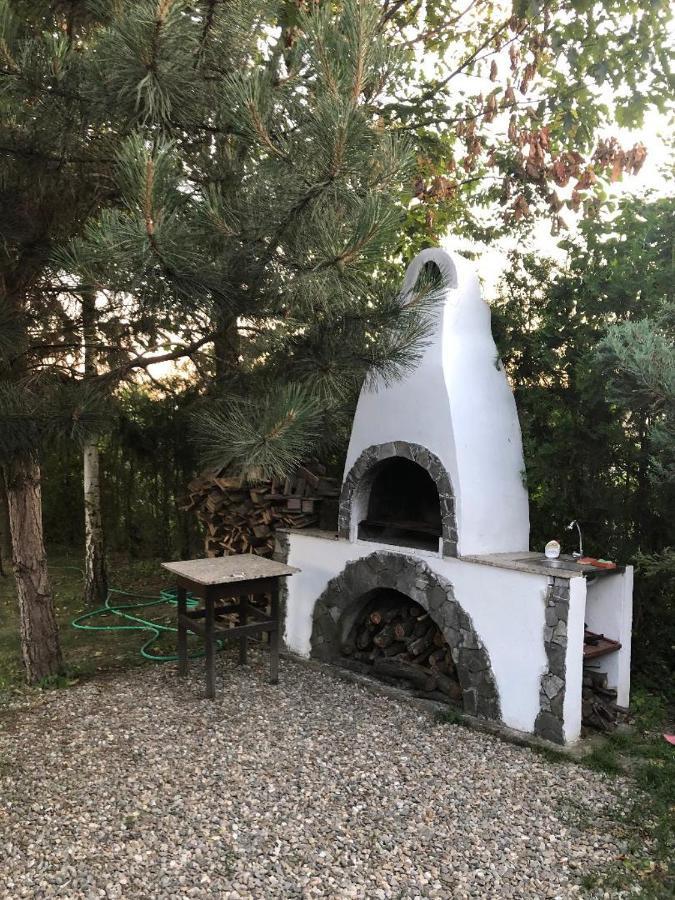 Argeselu Garden Villa-entire floor apartament, exclusive garden access Maracineni Exterior foto