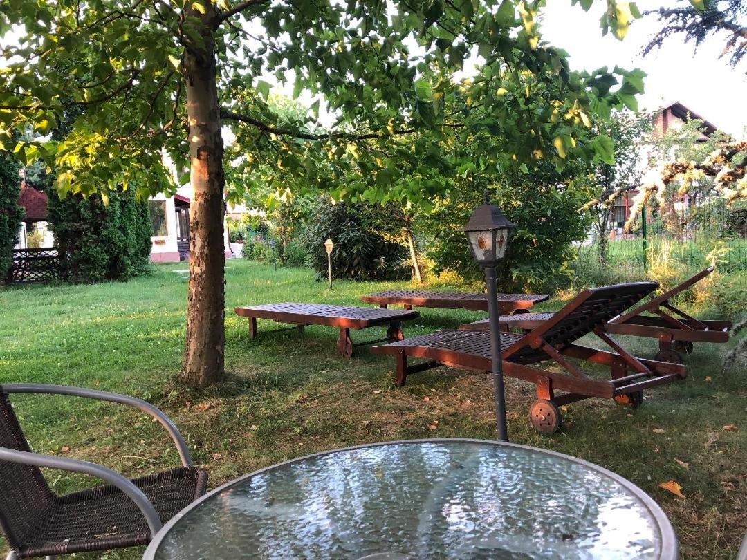 Argeselu Garden Villa-entire floor apartament, exclusive garden access Maracineni Exterior foto