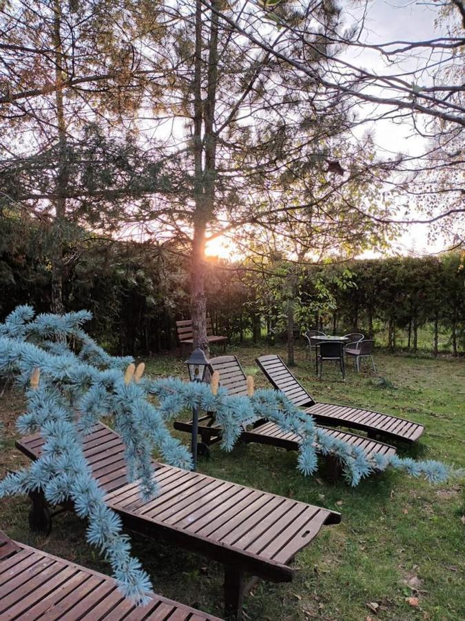 Argeselu Garden Villa-entire floor apartament, exclusive garden access Maracineni Exterior foto
