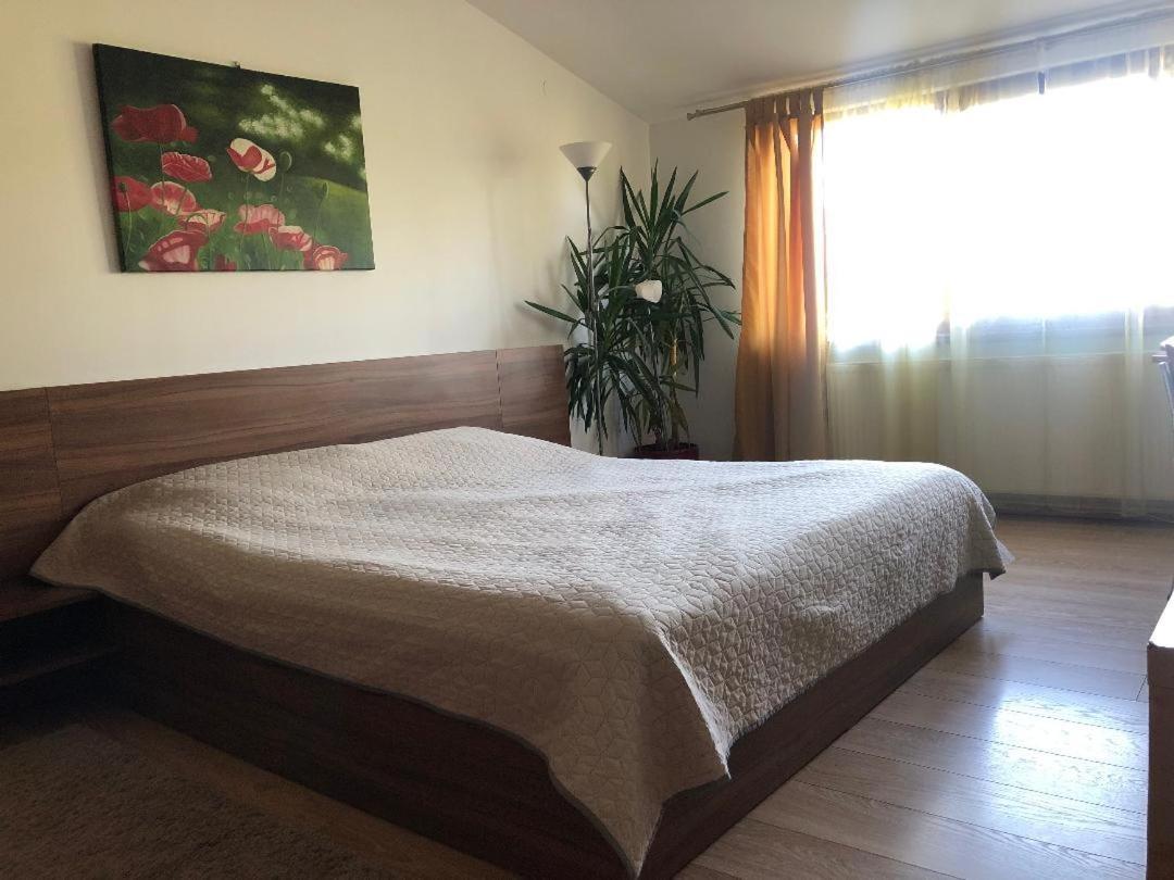 Argeselu Garden Villa-entire floor apartament, exclusive garden access Maracineni Exterior foto